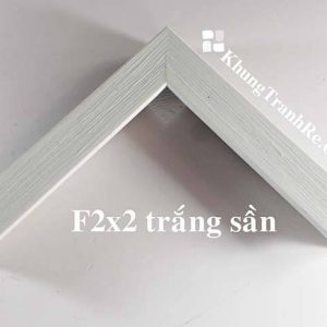 phào khung tranh F2x2 trắng sần