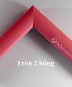 phào khung tranh tròn 2 hồng