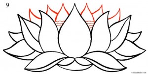 Hướng dẫn Vẽ đơn giản và cách điệu hoa sen  Simple drawing and stylized  lotus  YouTube