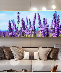 Tranh cánh đồng hoa oải hương MM0148