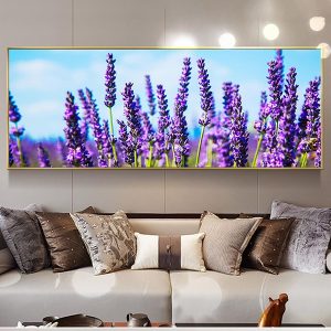 Tranh cánh đồng hoa oải hương MM0148