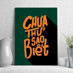 Chưa thử sao biết