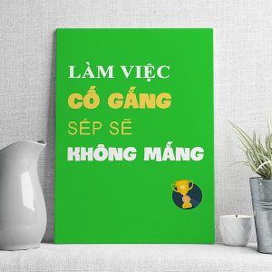 Làm việc cố gắng sếp sẽ không mắng mẫu 3