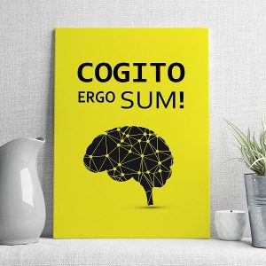 cogito ergo sum