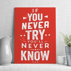 if you never try you'll never know