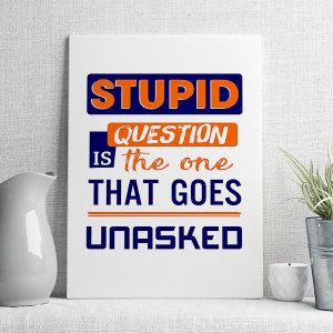 stupid is question the one that goes unasked