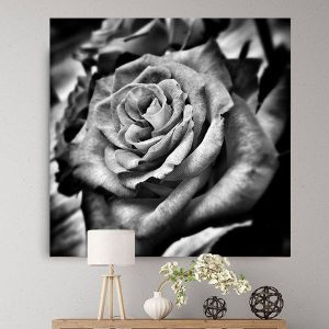 Tranh đen trắng hoa hồng TT1357
