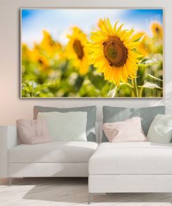 Tranh hoa hướng dương