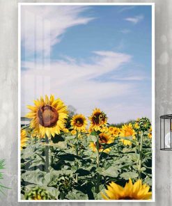 Tranh hoa hướng dương