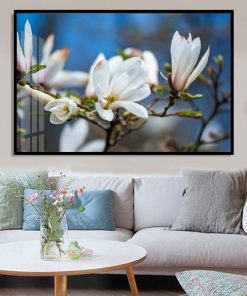 tranh hoa mộc lan TT1426