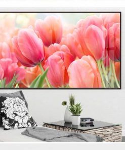 tranh hoa tulip TT1432