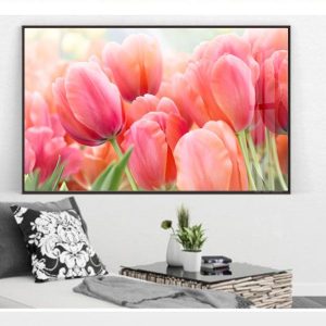 Tranh hoa tulip hồng, đỏ TT1432