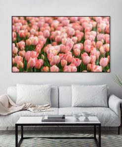 tranh hoa tulip TT1435