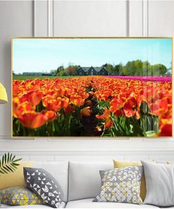 Tranh hoa tulip