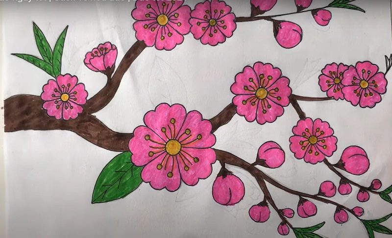 Cách vẽ 100 loài cây cối hoa lá siêu đơn giản  Hình vẽ thực vật Nhật ký  nghệ thuật Phác thảo hình xăm