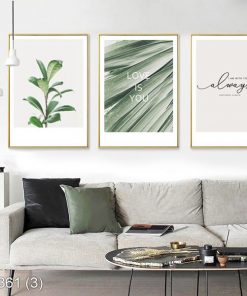 Bộ 3 tranh scandinavian lá cay xanh dịu KTR003613