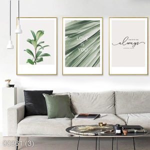 Bộ 3 tranh scandinavian lá cay xanh dịu KTR003613