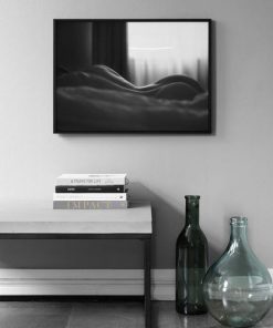 Tranh nghệ thuật bán nude DS3265