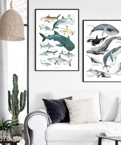 Bộ 2 tranh về các loài cá KTR006703