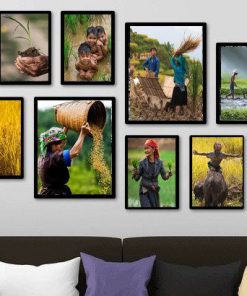 Bộ 8 tranh mùa màng bội thu trang trí nhà hàng KTRTK08