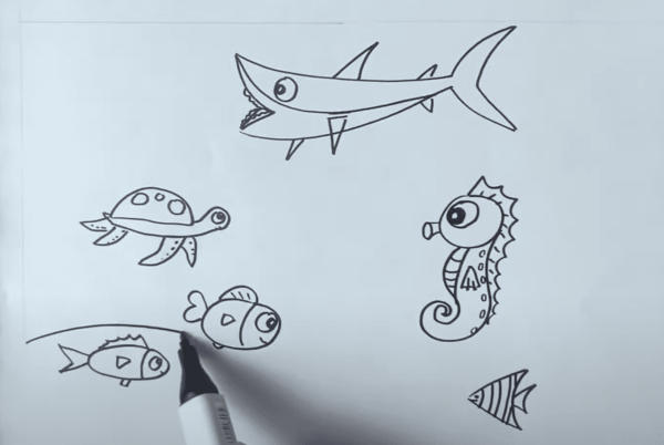 Vẽ cá mập