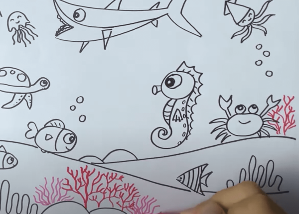 Vẽ san hô