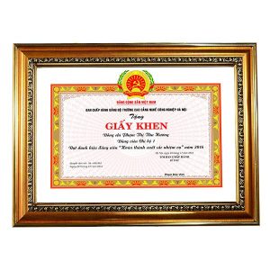 Khung bằng khen vàng hoa văn 3707