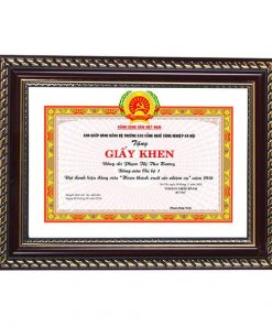 Khung bằng khen nâu hoa văn vàng 198 nâu