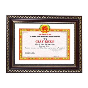 Khung bằng khen nâu hoa văn vàng 198 nâu ấn tượng