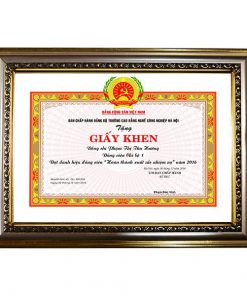 Khung bằng khen cao cấp nâu vàng 195