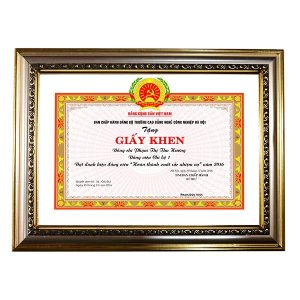 Khung bằng khen cao cấp nâu vàng 195