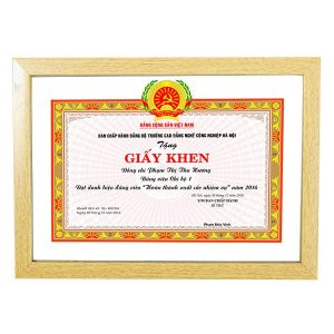 Khung bằng khen tối giản hiện đại f3 sữa