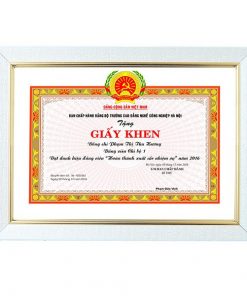 Khung bằng khen f3 trắng sần chỉ vàng sang trọng