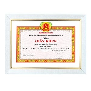 Khung bằng khen f3 trắng sần chỉ vàng sang trọng