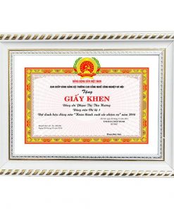 Khung bằng khen trắng họa tiết vàng sang trọng 196