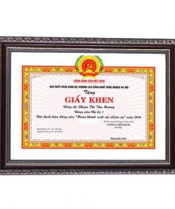 Khung bằng khen trám vàng nâu chỉ vàng 166