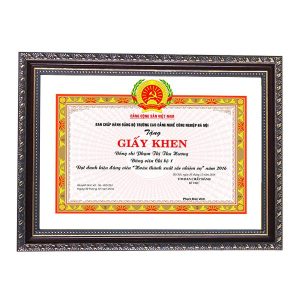 Khung bằng khen trám vàng nâu chỉ vàng 166