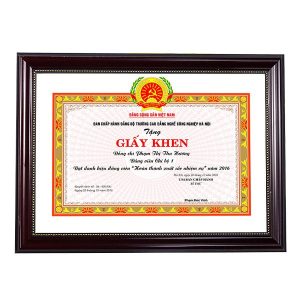 Khung bằng khen nâu trơn cong nghệ thuật 163