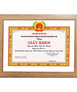 Khung bằng khen f3 màu nâu sữa hiện đại