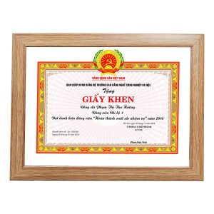 Khung bằng khen f3 màu nâu sữa hiện đại