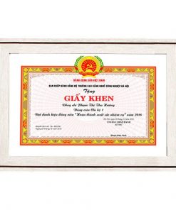 Khung bằng khen màu kem viền kép 112