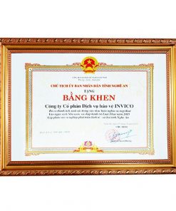 khung bằng khen vàng xước thông dụng 197 vàng