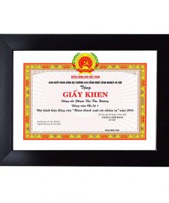 khung bằng khen trơn f3 màu đen