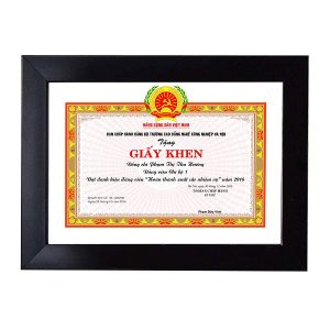 khung bằng khen trơn f3 màu đen hiện đại