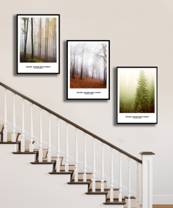 Bộ 3 tranh phong cảnh rừng cây trang trí cầu thang PTR03006